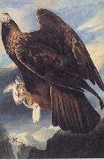 John James Audubon, Golden Eagle